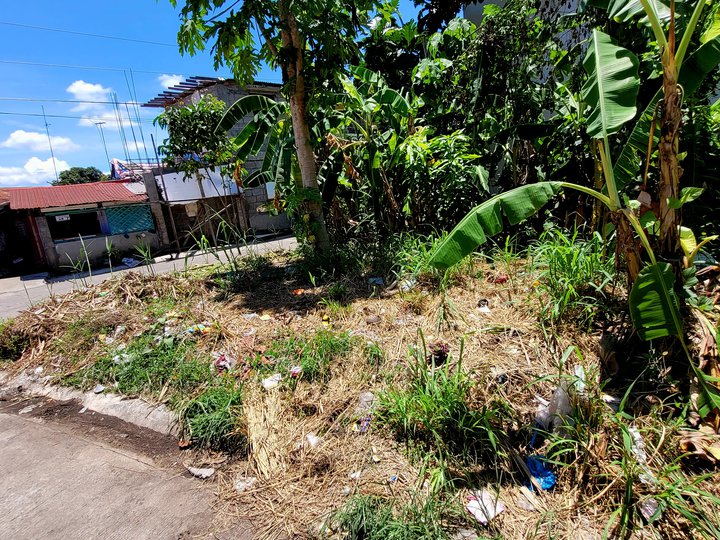 84 sqm Residential Lot For Sale in Naga Camarines Sur