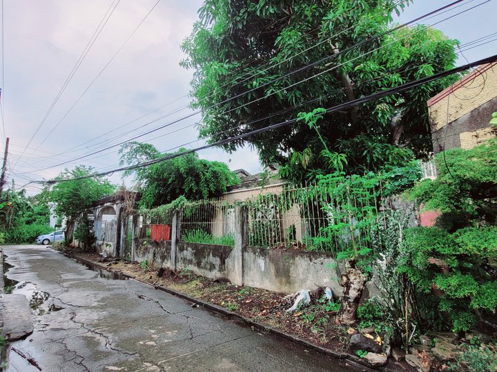 240 sqm Residential/Commercial Lot For Sale in Naga Camarines Sur