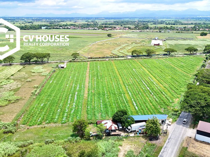 Agricultural Lot For Sale Located along Magalang-Arayat Rd, Arayat, Pampanga