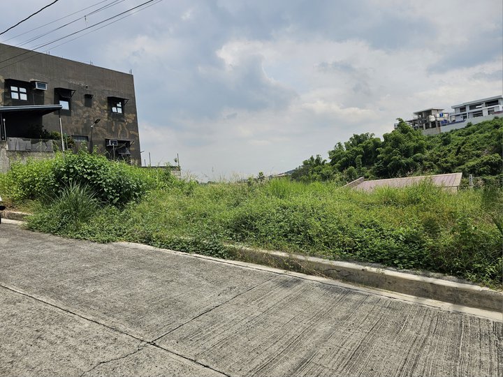 150 sqm Residential Lot For Sale in Taytay Rizal