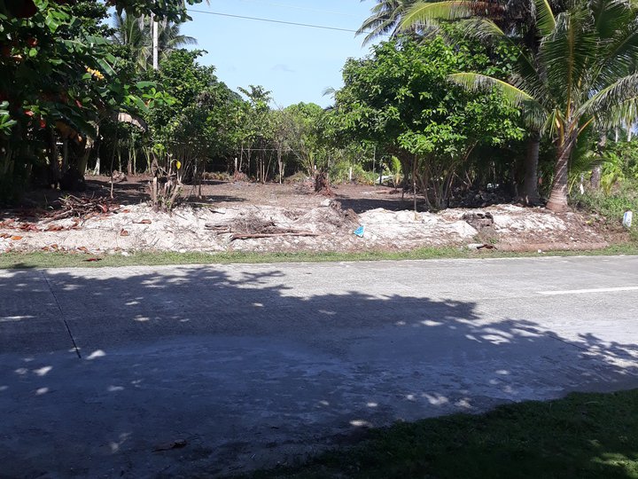 616sqm Residential Lot Near the Beach Brgy Baybay Burgos Siargao Surigao del norte