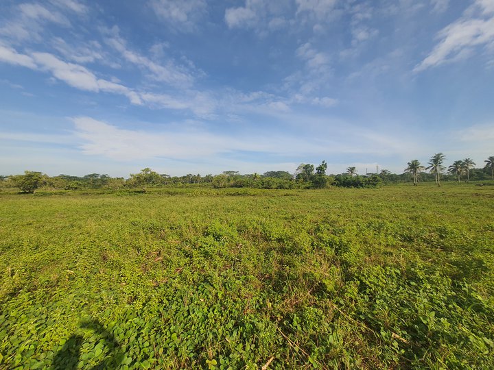 7.5 hectare Land For Sale ideal for Subdivision or Livestock Farming at Poblacion, Tagbina, SDS