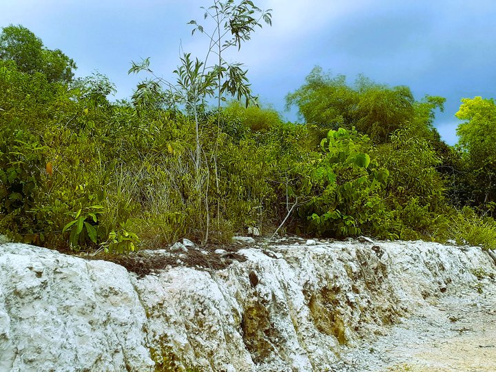 Beachlot in San Isidro Dauis overlooking white sand beach