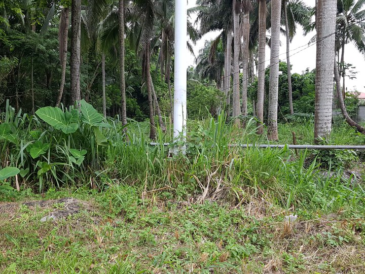 3,405 sqm Commercial Lot For Sale in Talisay, Lipa Batangas