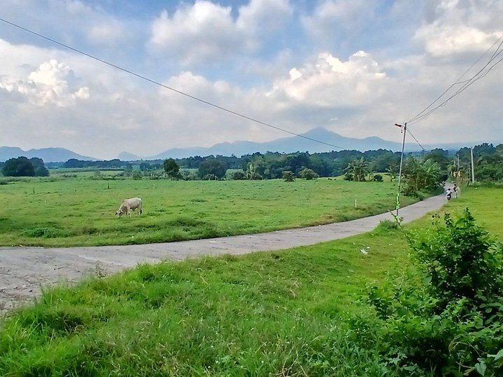 500 sqm Residential Farm For Sale in Nasugbu Batangas