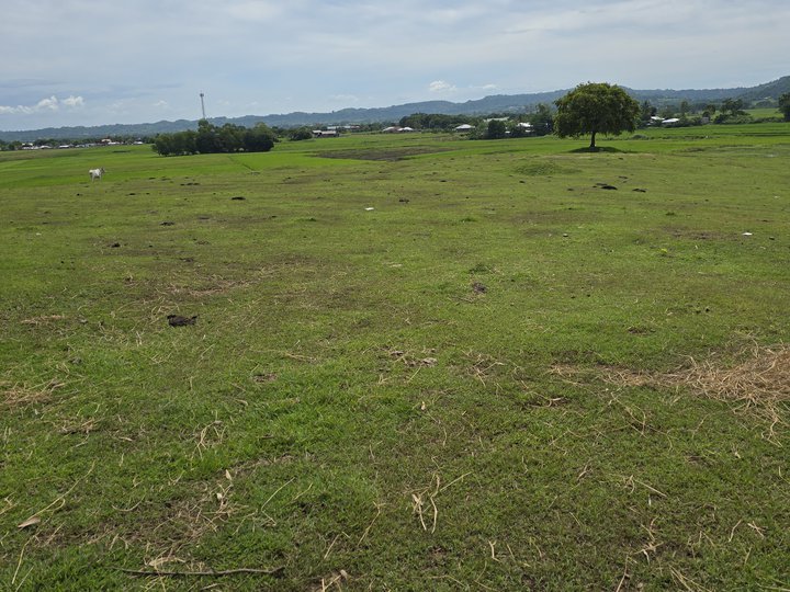 Farm lot for sale with overlooking view