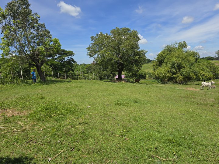 Farm lot for sale overlooking