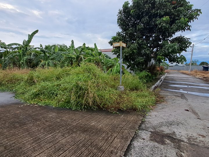 122 sqm Residential  Corner Lot For Sale in Malolos Bulacan