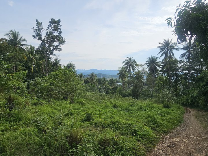 Raw land in Puting Bato, Toledo City! 5.97 hec.