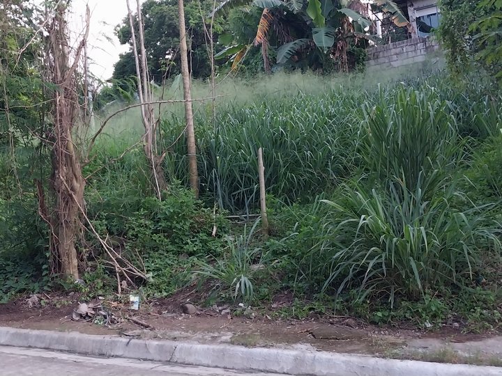 180 sqm residential lot for sale in antipolo rozal