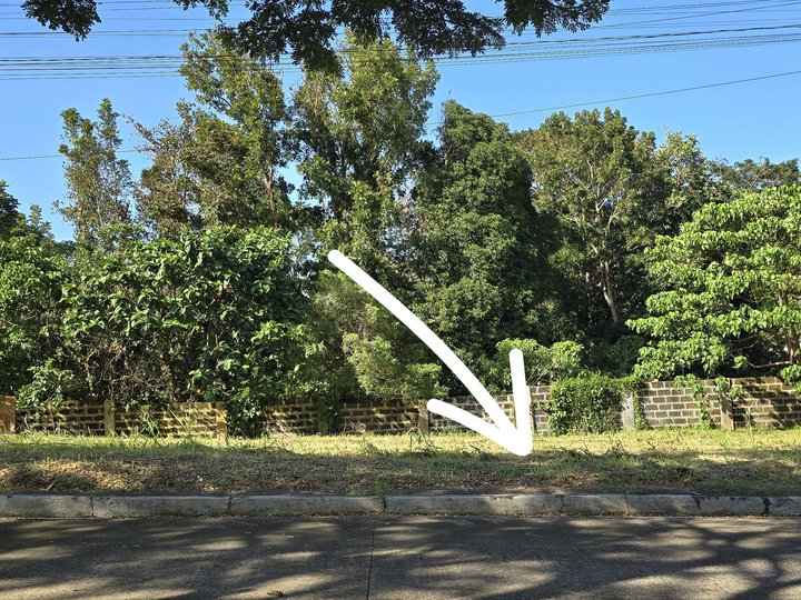 Residential Lot for sale in Lipa Batangas