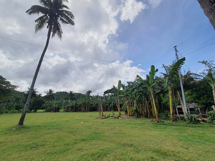 Lot only for sale in Toledo City, Cebu Philippines.