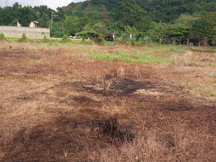 100 sqm redidential lot for sale in antipolo rizal