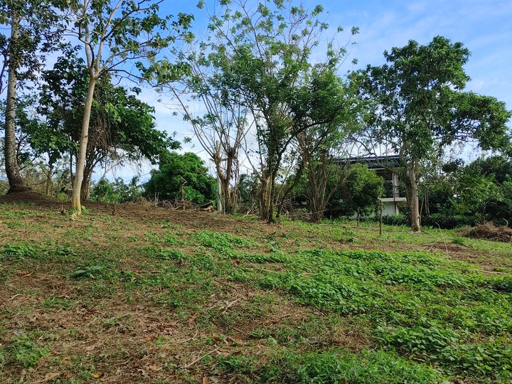 Elevated foggy Mini-farm lot near Tagaytay