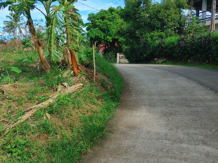 MINI-FARM LOT NEAR TAGAYTAY