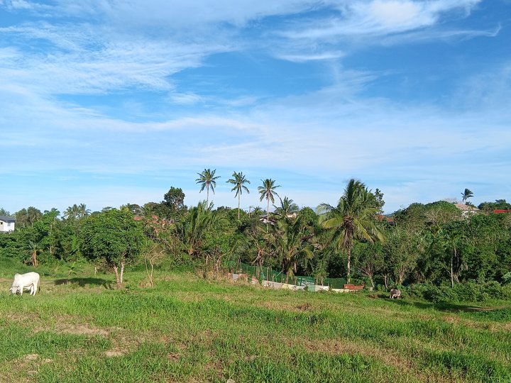 200 sqm Residential Lot For Sale in Silang Cavite