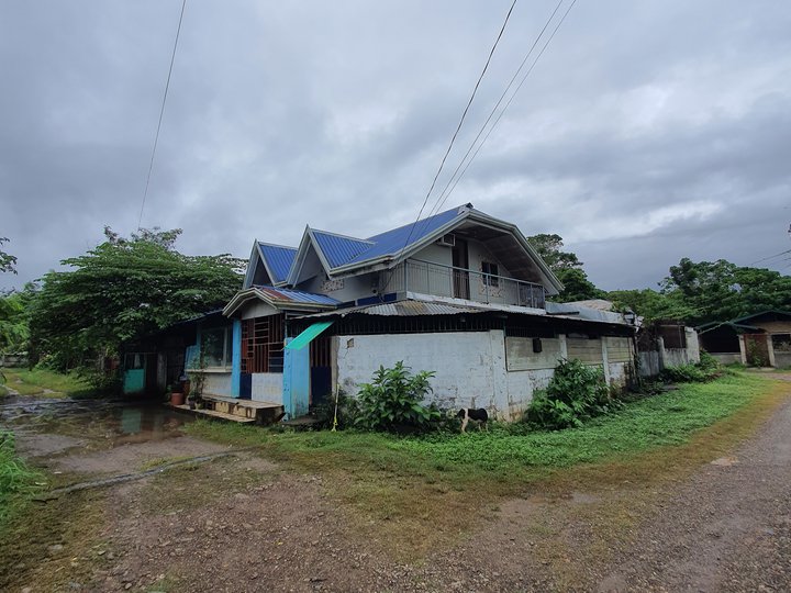 5-bedroom House and Lot For Sale in Puerto Princesa Palawan