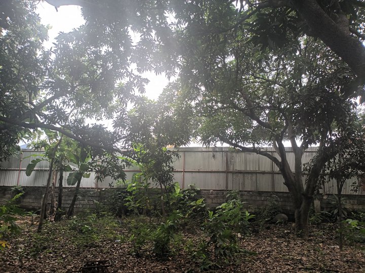 5166sqm at 40k per sqm negotiable for serious buyer