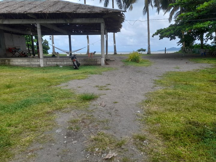 Titled Beach property