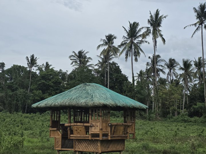 1,000 sqm Residential Farm For Sale in Indang Cavite