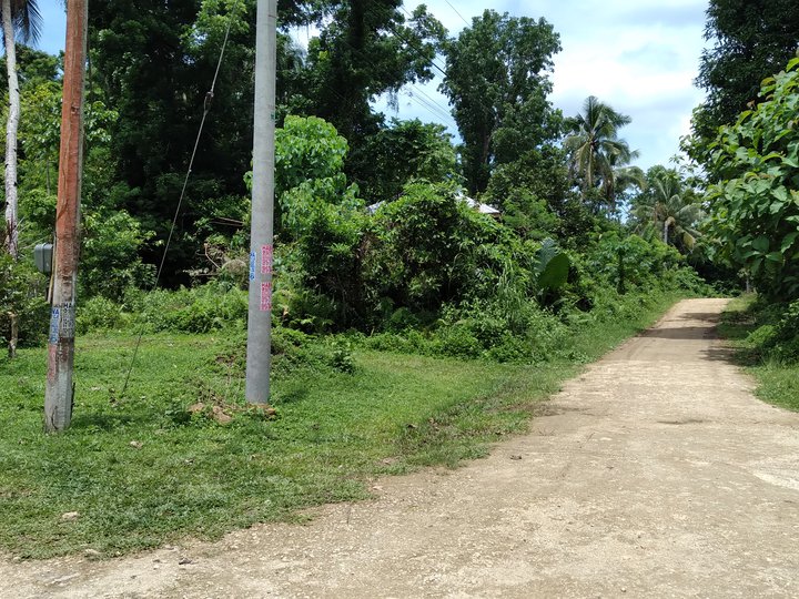 RESIDENTIAL LOT FOR SALE IN ANISLAG CORELLA BOHOL