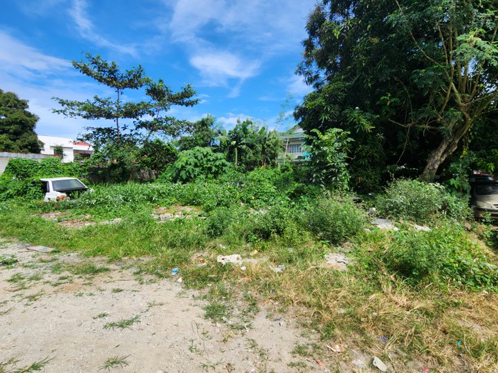 12 meters frontage 240sqm Rectangular Shape Residential Lot for Sale near Southwoods Binan Laguna