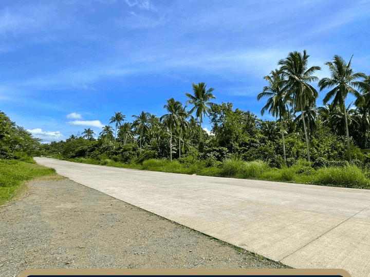 1.5 Hectares Lot for Sale in Lipa, Batangas