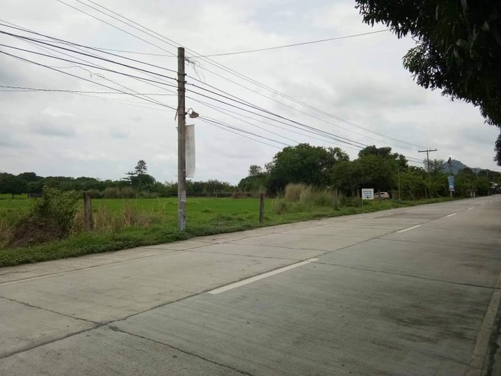 30000 sqm Residential Farm For Sale in Cuyapo Nueva Ecija