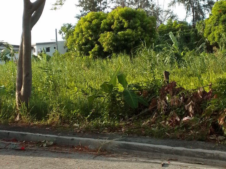 I'm selling 208sqm. 41,000/sqm. 11yrs to pay,residential lot in Greenwoods Subdivision,Pasig City