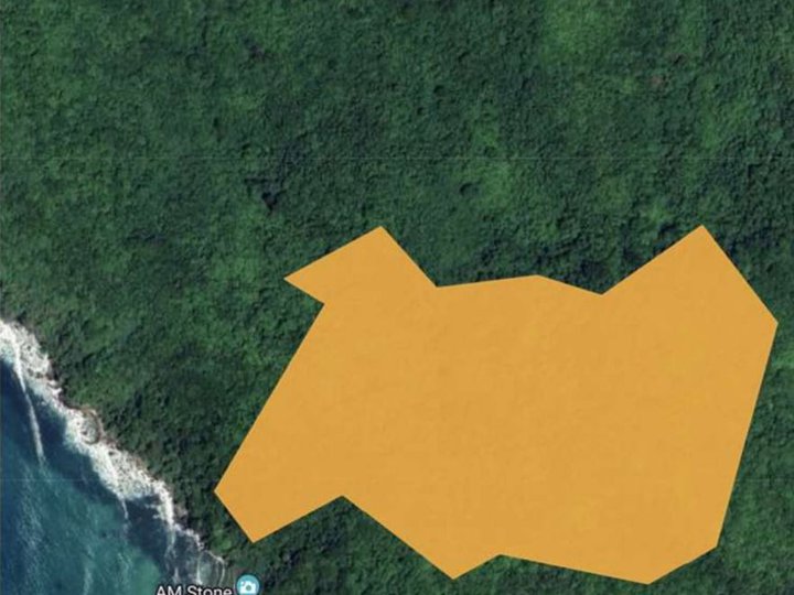 11.71 hectares Commercial Lot For Sale by Ayala Land in Brgy. Bucana El Nido Palawan
