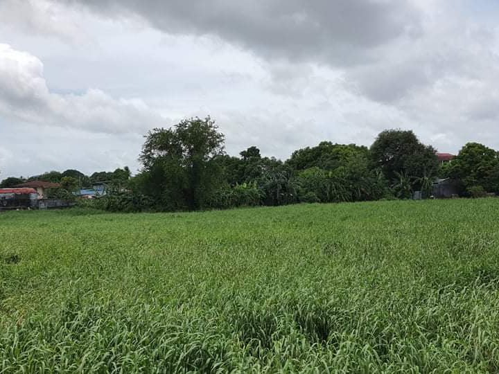 Lot for Sale in Kawit Cavite