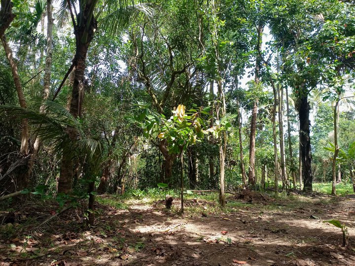 Farm lot 500 sqm foe sale Near Twin Lakes [Lot 🚜] (May 2023) in Alfonso