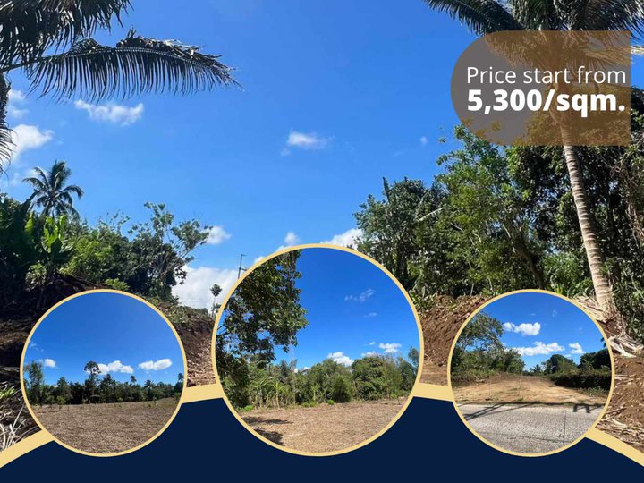 Free Transfer of Title Farm lot for sale in Alfonso near Tagaytay