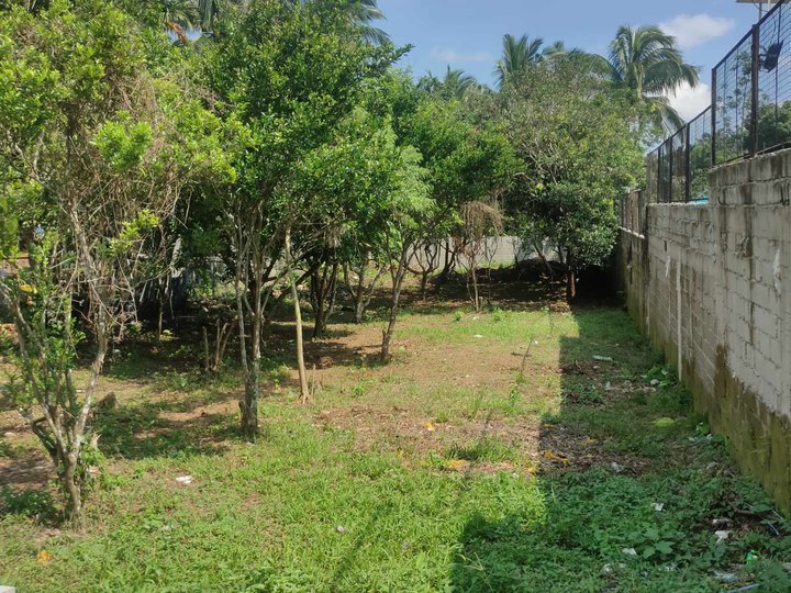 With concrete fence and Steel Gate Farm Lot 900 sqm in Alfonso Cavite.