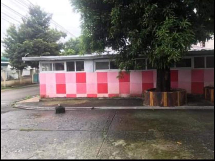 House and lot for sale North Caloocan (3houses Available)