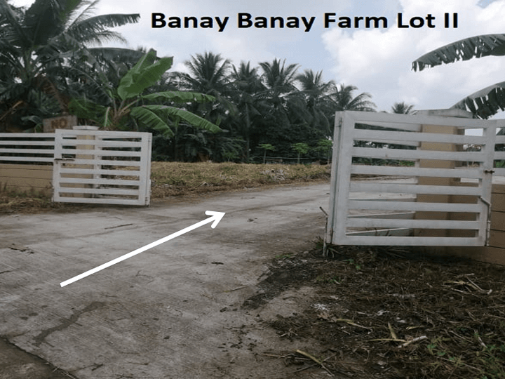 Residential Farm Lot @ Amadeo Cavite