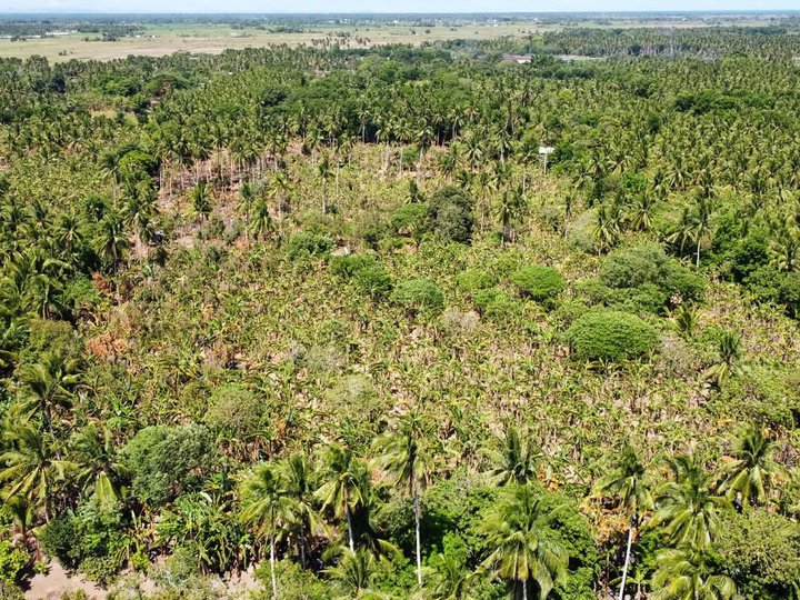 San Vicente Farm Phase 3: Affordable Titled Farm Lots in Quezon