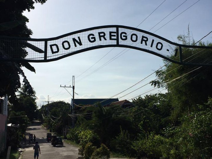 240sqm Lot in Don Gregorio Heights