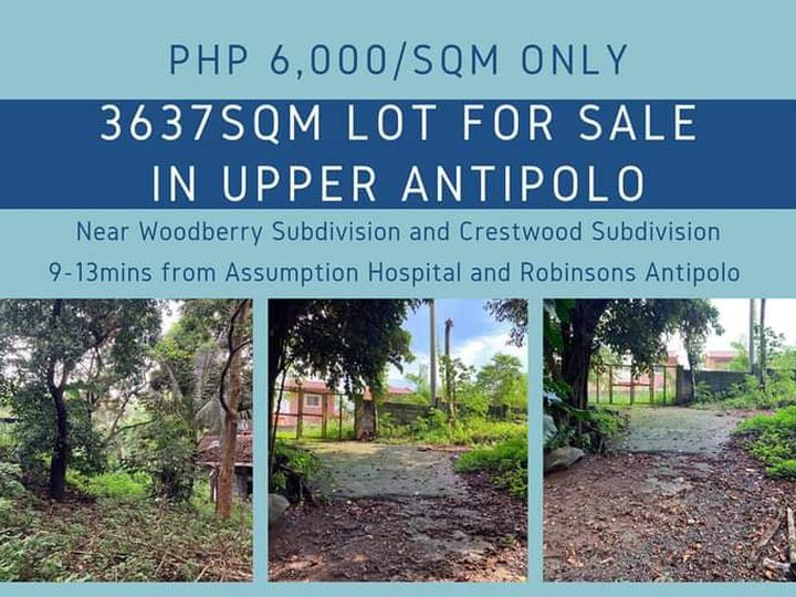 3637sqm Lot for sale at Upper Antipolo