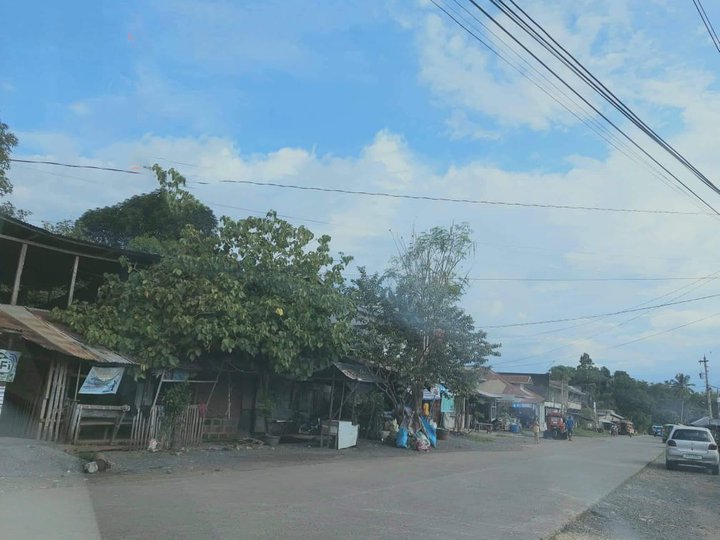Commercial Lot in Bukidnon
