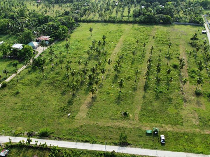 LOT FOR SALE IN LAIYA SAN JUAN BATANGAS