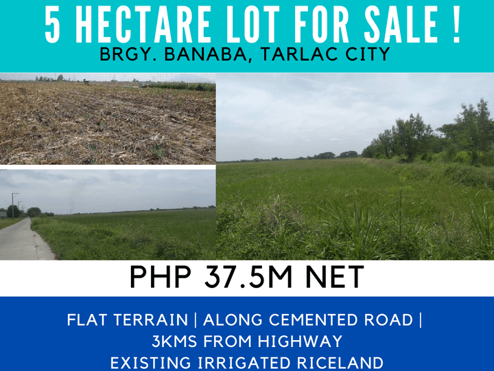 5 Hectare lot for sale in Tarlac