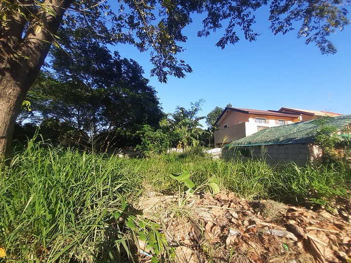 Lot Only For Sale In Cavite