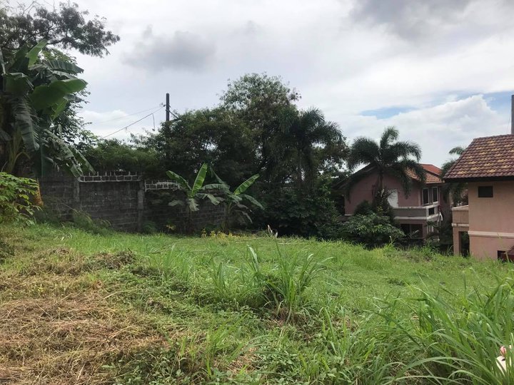 LOT FOR SALE IN ANTIPOLO