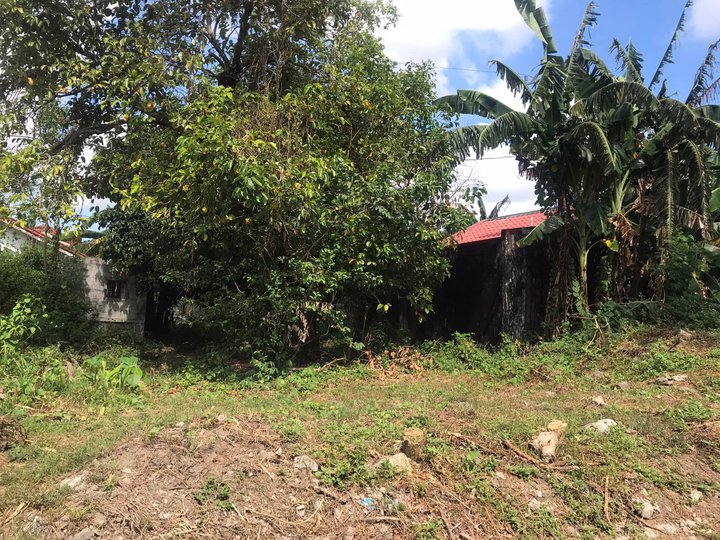 LOT FOR SALE IN TANZA