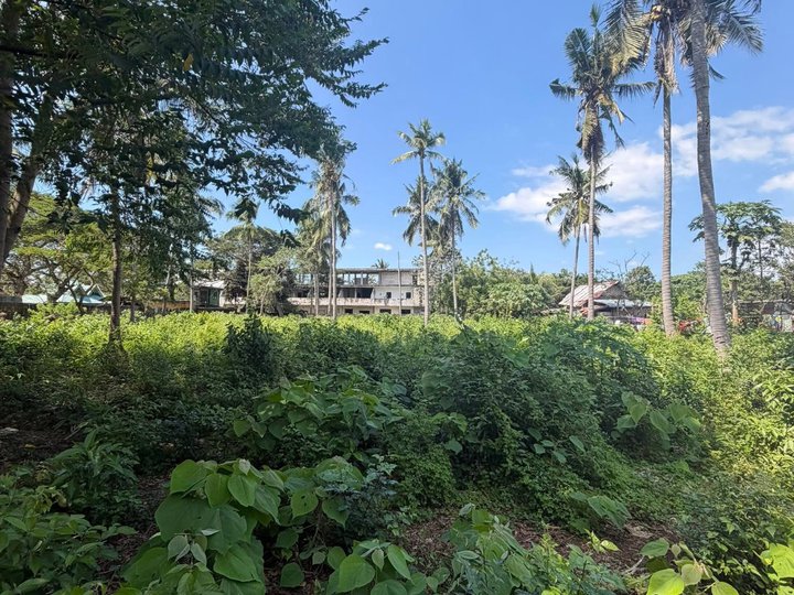 3,170 sqm Residential Farm For Sale in Panglao Bohol