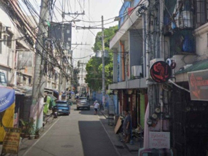 259 sqm Prime Lot for Sale in Pasay