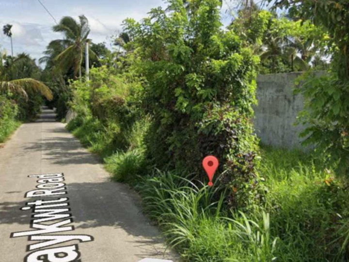 1000SQM Farm Lot Clean Title Along Provl. Road very Near Tagaytay