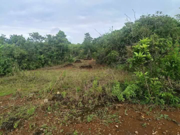 Affordable Lot for Sale