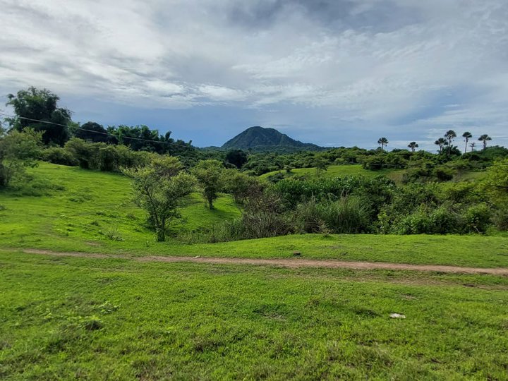 5.3 Hectares Agricultural Farm for Sale in Cuyapo Nueva Ecija